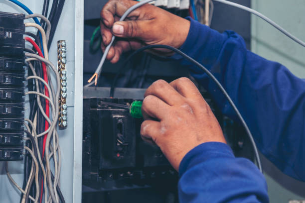 Best Electrical System Inspection  in Coal Valley, IL